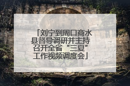 刘宁到周口商水县督导调研并主持召开全省“三夏”工作视频调度会
