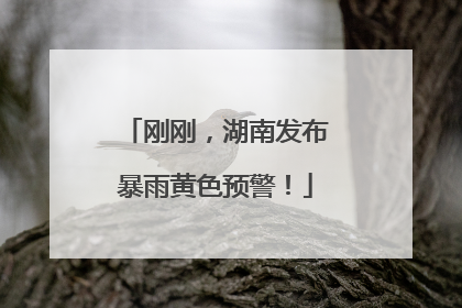 刚刚，湖南发布暴雨黄色预警！
