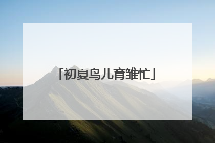 初夏鸟儿育雏忙