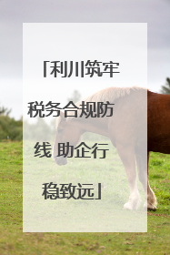 利川筑牢税务合规防线 助企行稳致远