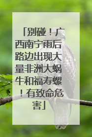 别碰！广西南宁雨后路边出现大量非洲大蜗牛和福寿螺！有致命危害