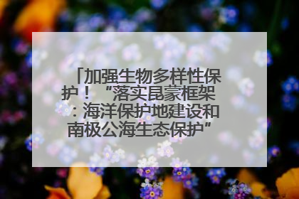 加强生物多样性保护！“落实昆蒙框架：海洋保护地建设和南极公海生态保护”主题论坛将举办