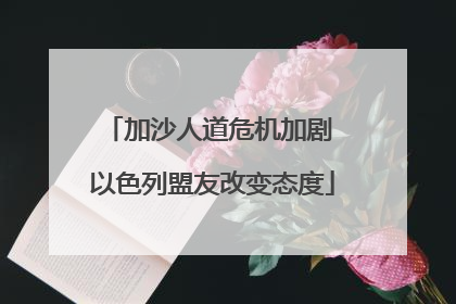 加沙人道危机加剧 以色列盟友改变态度