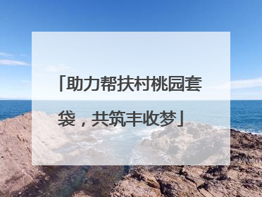 助力帮扶村桃园套袋，共筑丰收梦