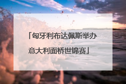 匈牙利布达佩斯举办意大利面桥世锦赛