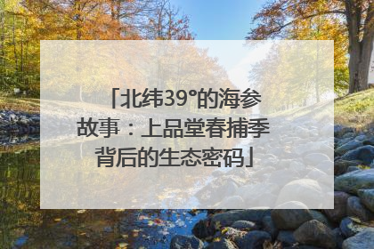 北纬39°的海参故事：上品堂春捕季背后的生态密码
