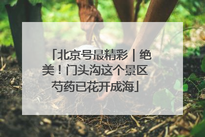 北京号最精彩｜绝美！门头沟这个景区芍药已花开成海