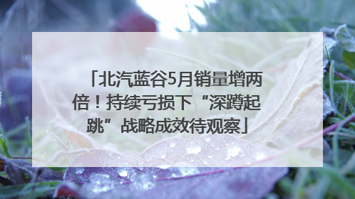 北汽蓝谷5月销量增两倍！持续亏损下“深蹲起跳”战略成效待观察