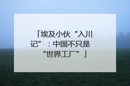 埃及小伙“入川记”：中国不只是“世界工厂”