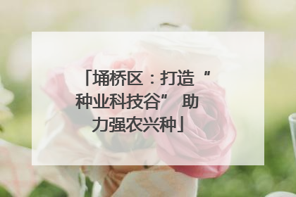 埇桥区：打造“种业科技谷” 助力强农兴种