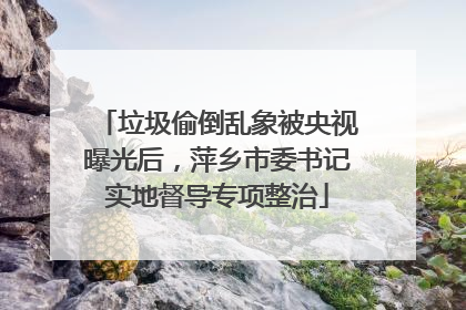 垃圾偷倒乱象被央视曝光后，萍乡市委书记实地督导专项整治