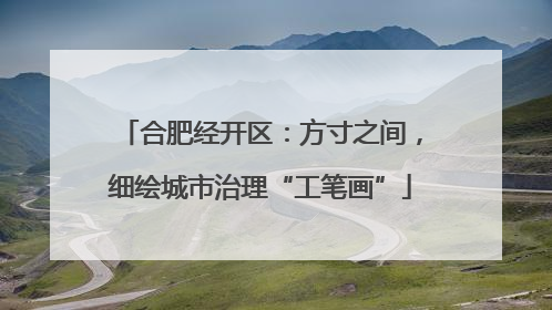 合肥经开区：方寸之间，细绘城市治理“工笔画”