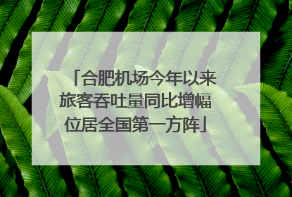 合肥机场今年以来旅客吞吐量同比增幅位居全国第一方阵