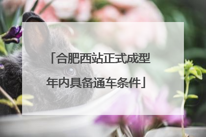 合肥西站正式成型 年内具备通车条件