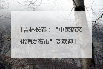 吉林长春：“中医药文化消夏夜市”受欢迎