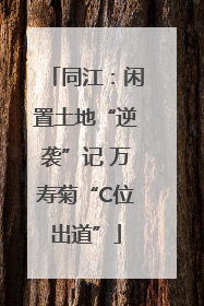 同江：闲置土地“逆袭”记 万寿菊“C位出道”