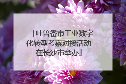 吐鲁番市工业数字化转型考察对接活动在长沙市举办