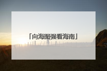 向海图强看海南