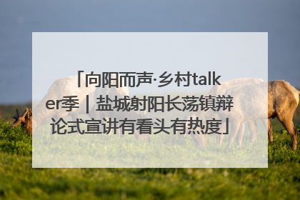向阳而声·乡村talker季｜盐城射阳长荡镇辩论式宣讲有看头有热度