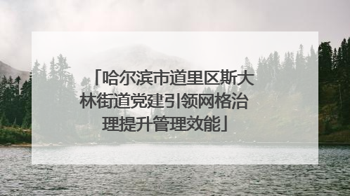 哈尔滨市道里区斯大林街道党建引领网格治理提升管理效能