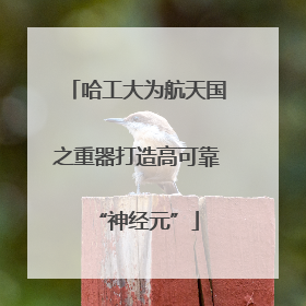 哈工大为航天国之重器打造高可靠“神经元”