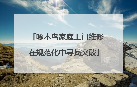 啄木鸟家庭上门维修在规范化中寻找突破