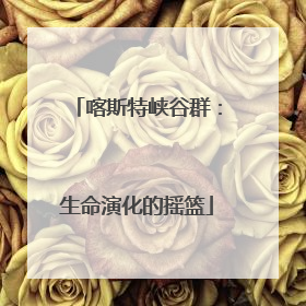 喀斯特峡谷群：生命演化的摇篮