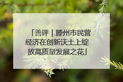 善评｜滕州市民营经济在创新沃土上绽放高质量发展之花