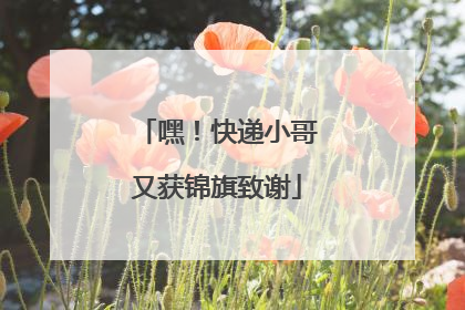 嘿！快递小哥又获锦旗致谢