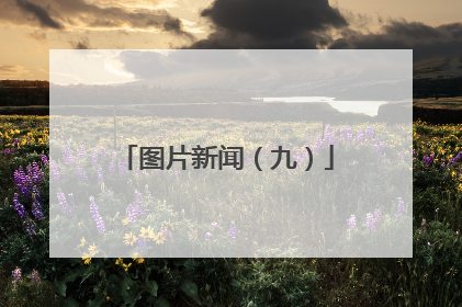 图片新闻（九）