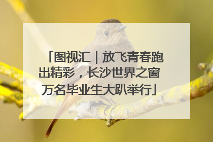 图视汇｜放飞青春跑出精彩，长沙世界之窗万名毕业生大趴举行