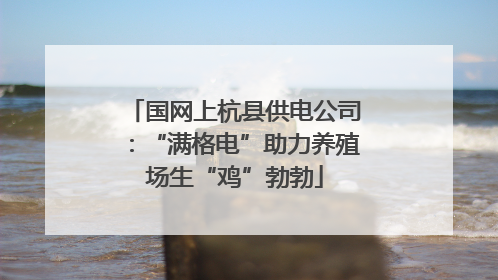 国网上杭县供电公司：“满格电”助力养殖场生“鸡”勃勃
