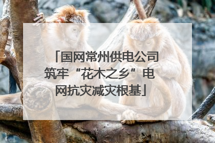 国网常州供电公司筑牢“花木之乡”电网抗灾减灾根基
