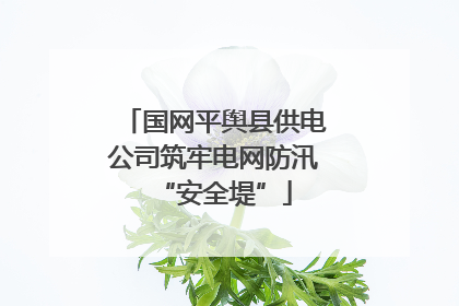 国网平舆县供电公司筑牢电网防汛“安全堤”