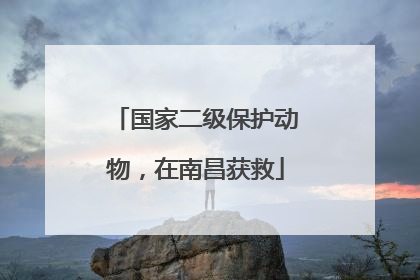 国家二级保护动物，在南昌获救