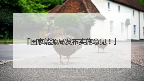 国家能源局发布实施意见！