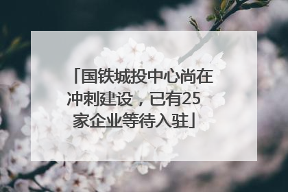 国铁城投中心尚在冲刺建设，已有25家企业等待入驻