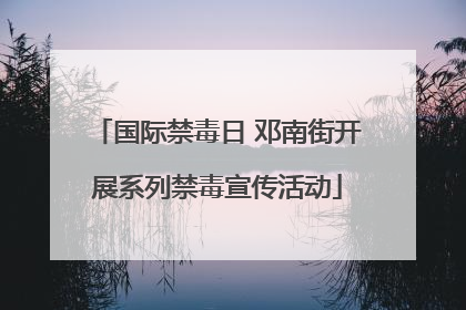 国际禁毒日 邓南街开展系列禁毒宣传活动
