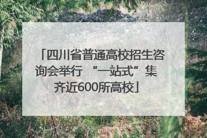 四川省普通高校招生咨询会举行 “一站式”集齐近600所高校