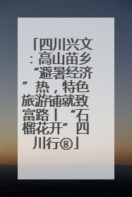 四川兴文：高山苗乡“避暑经济”热，特色旅游铺就致富路丨“石榴花开”四川行⑧
