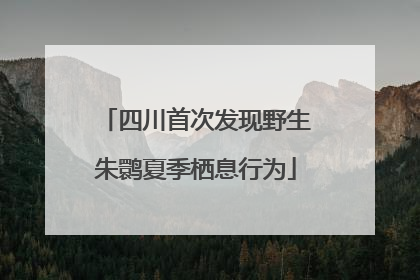 四川首次发现野生朱鹮夏季栖息行为