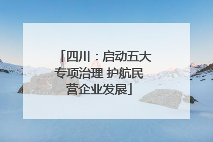 四川：启动五大专项治理 护航民营企业发展