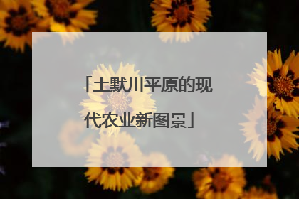 土默川平原的现代农业新图景