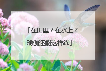 在田里？在水上？瑜伽还能这样练