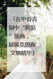 在甲骨青铜中“看见”殷商，一展纵览殷商文物精华