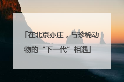 在北京亦庄，与珍稀动物的“下一代”相遇