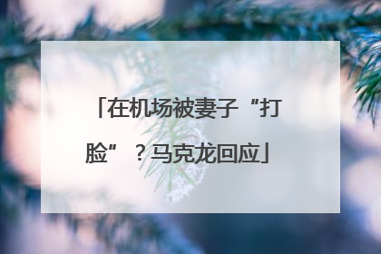 在机场被妻子“打脸”？马克龙回应