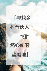 寻找乡村合伙人｜“棚”然心动的盐碱地