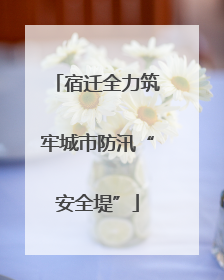 宿迁全力筑牢城市防汛“安全堤”