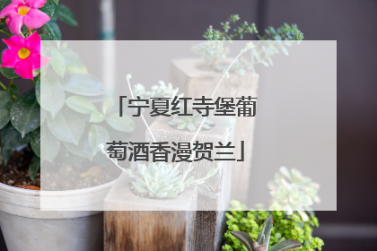 宁夏红寺堡葡萄酒香漫贺兰
